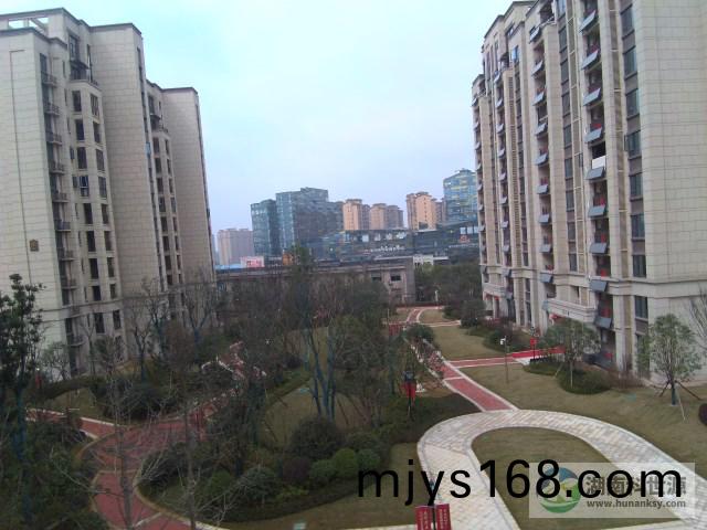 陽檯壁掛(gua)太陽能熱水係統